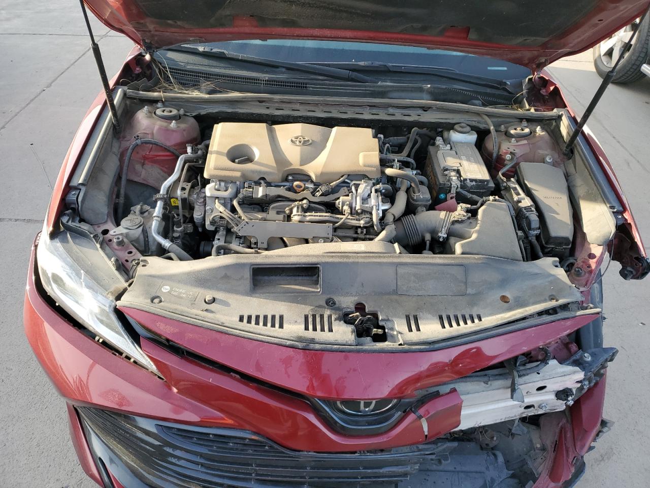 2020 Toyota Camry Le VIN: 4T1C11AKXLU919013 Lot: 48513375