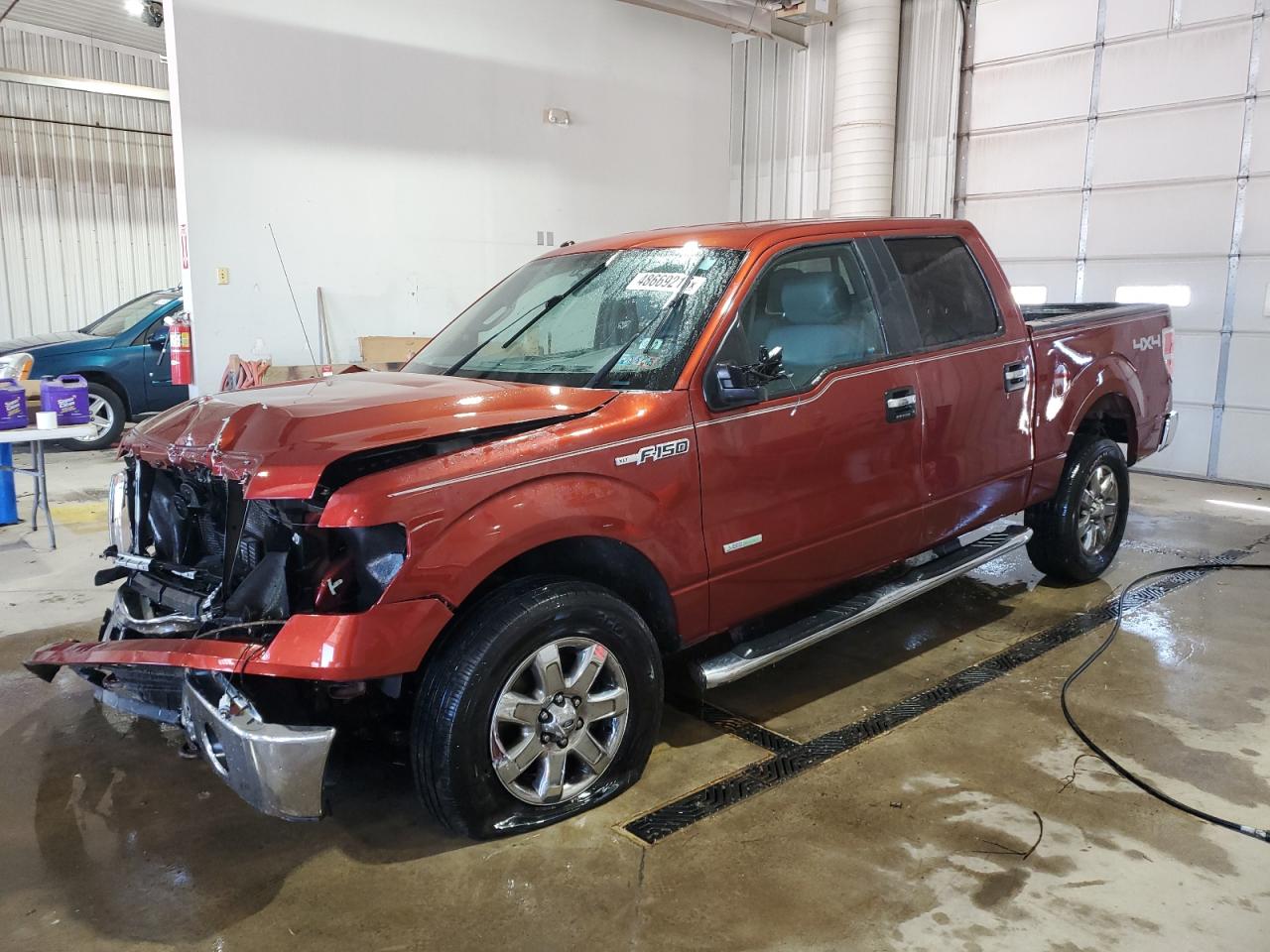2014 Ford F-150 - Image 1