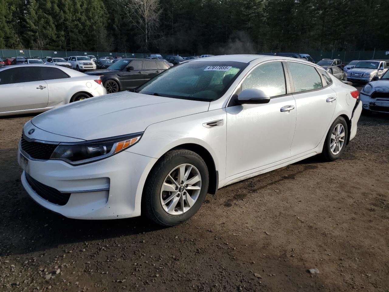 Kia Optima