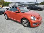2019 Volkswagen Beetle S for Sale in Concord, NC - Front End