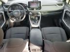 2020 Toyota Rav4 Xle de vânzare în Houston, TX - Side