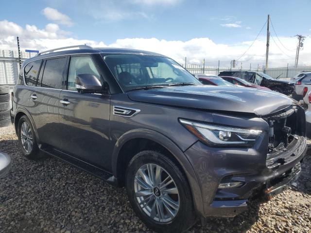  INFINITI QX80 2024 Gray