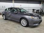 2015 Honda Accord Exl en Venta en Wheeling, IL - Side