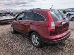 2011 Honda Cr-V Exl for Sale in Magna, UT - Front End