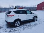2015 FORD ESCAPE SE   à vendre chez Copart ON - LONDON