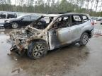 2024 Subaru Forester Premium na sprzedaż w Harleyville, SC - Burn