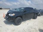 Temple, TX에서 판매 중인 2023 Toyota Tacoma Double Cab - All Over