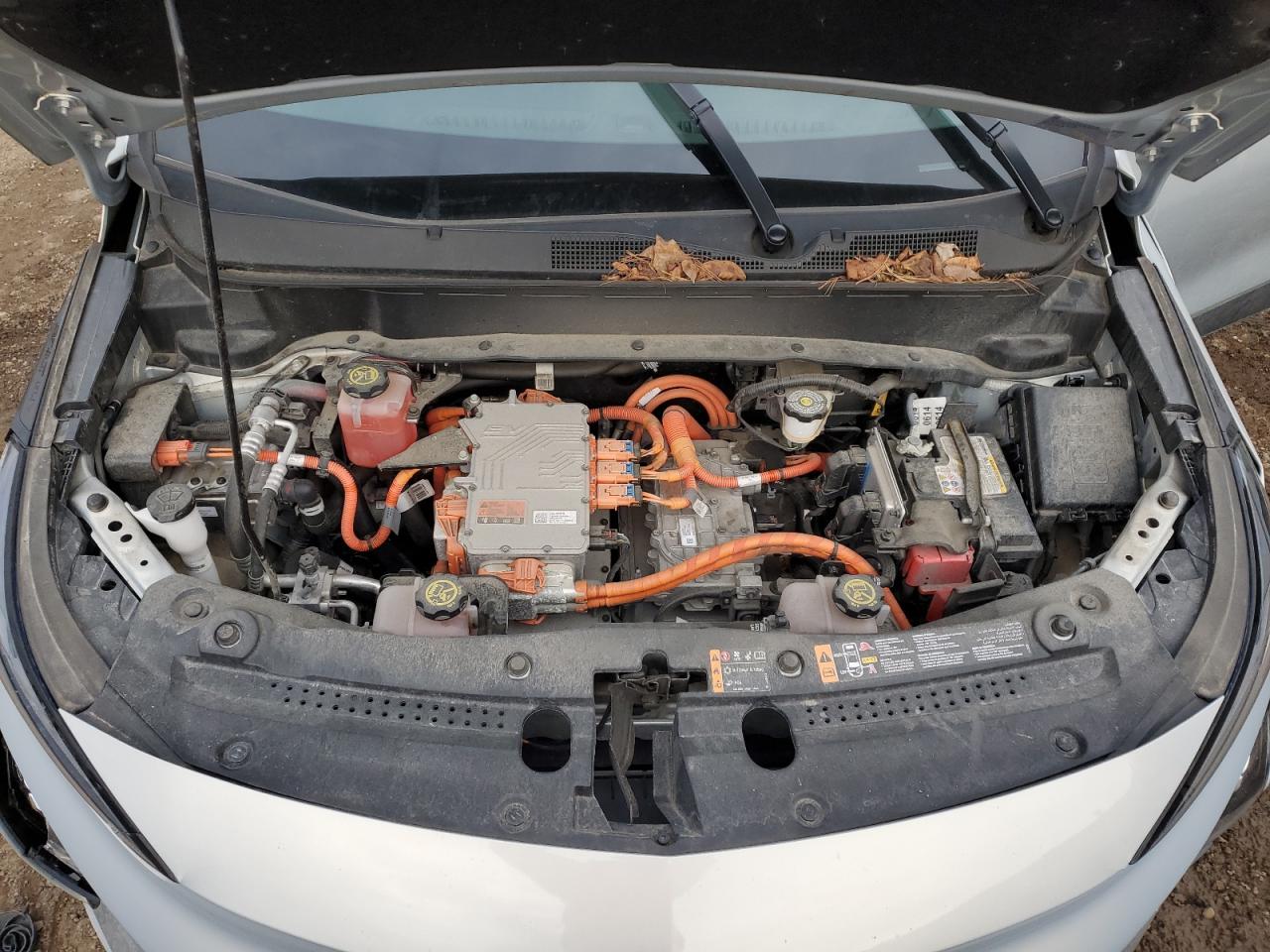 2022 Chevrolet Bolt Euv Lt VIN: 1G1FY6S06N4117755 Lot: 49666325