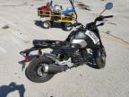2025 Honda Grom 125 للبيع في Rogersville، MO - Side