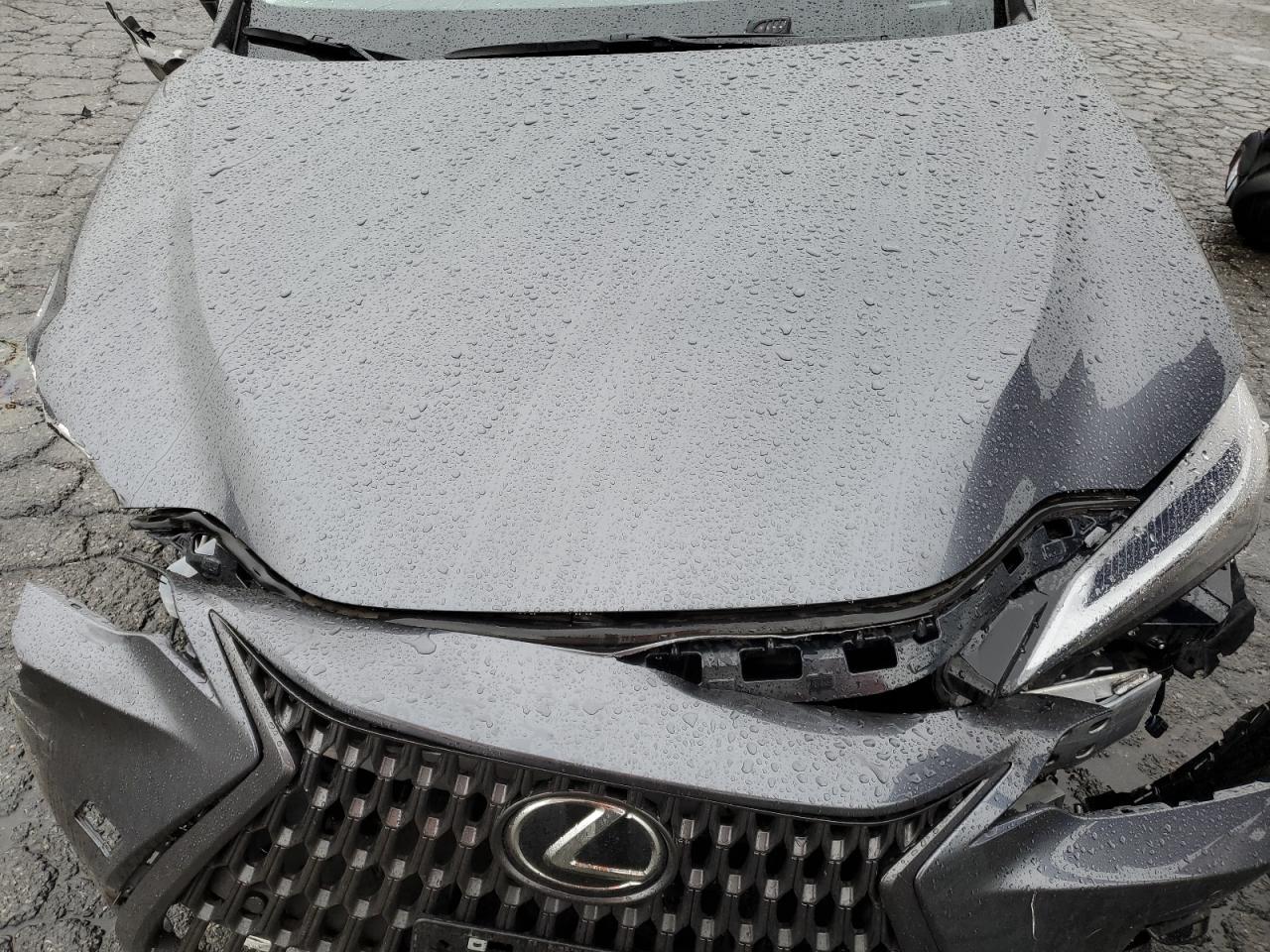 2024 Lexus NX - Image 11