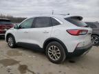 2021 Ford Escape Se for Sale in Louisville, KY - Front End