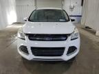 2013 Ford Escape Se იყიდება Albany-ში, NY - Front End