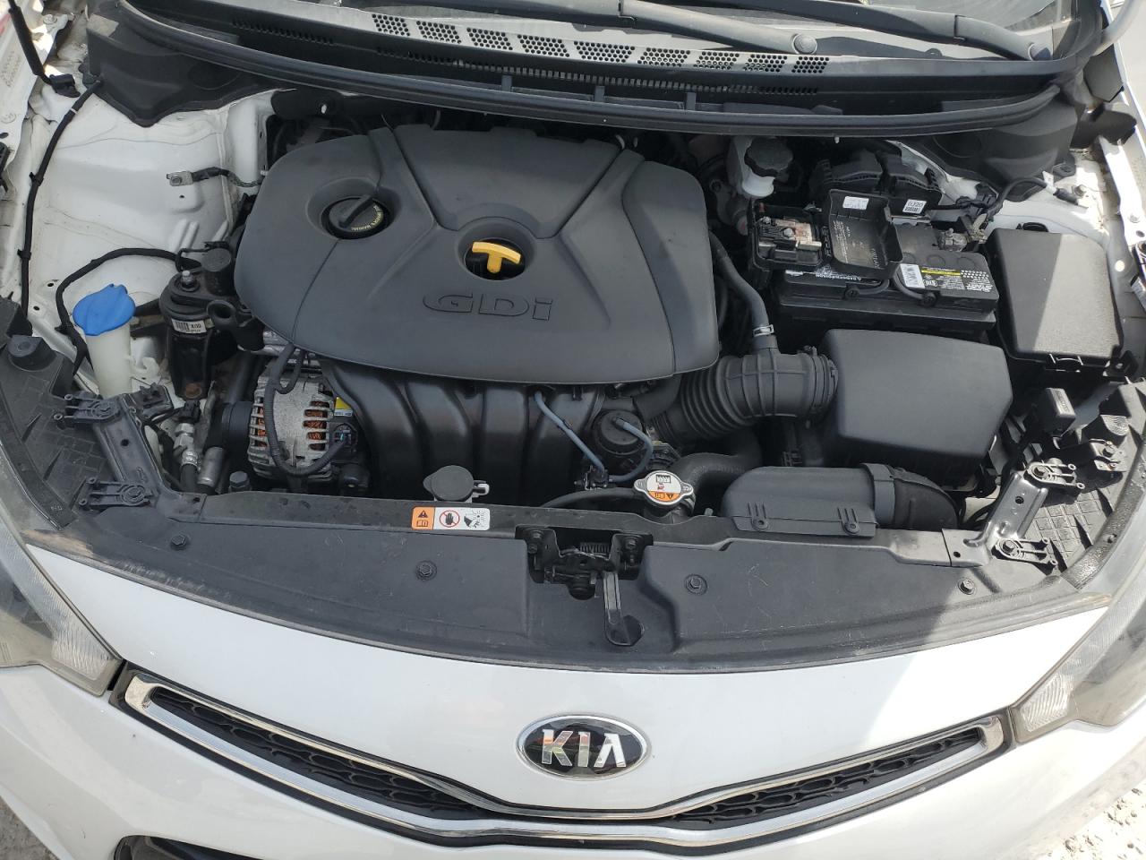 2016 Kia Forte Ex VIN: KNAFX6A8XG5633628 Lot: 49647635