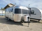 2021 Airstream Flying Clo продається в Elgin, IL - Hail