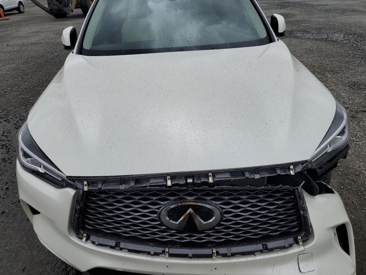 2019 Infiniti QX50 - Image 12