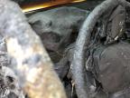 Kansas City, KS에서 판매 중인 2024 Chevrolet Silverado K3500 - Burn