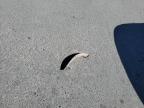 2015 Bmw 328 I за продажба в Orlando, FL - Minor Dent/Scratches