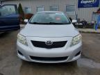 2009 Toyota Corolla Base de vânzare în Louisville, KY - Hail