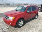 2011 Ford Escape Xlt للبيع في Louisville، KY - Rear End