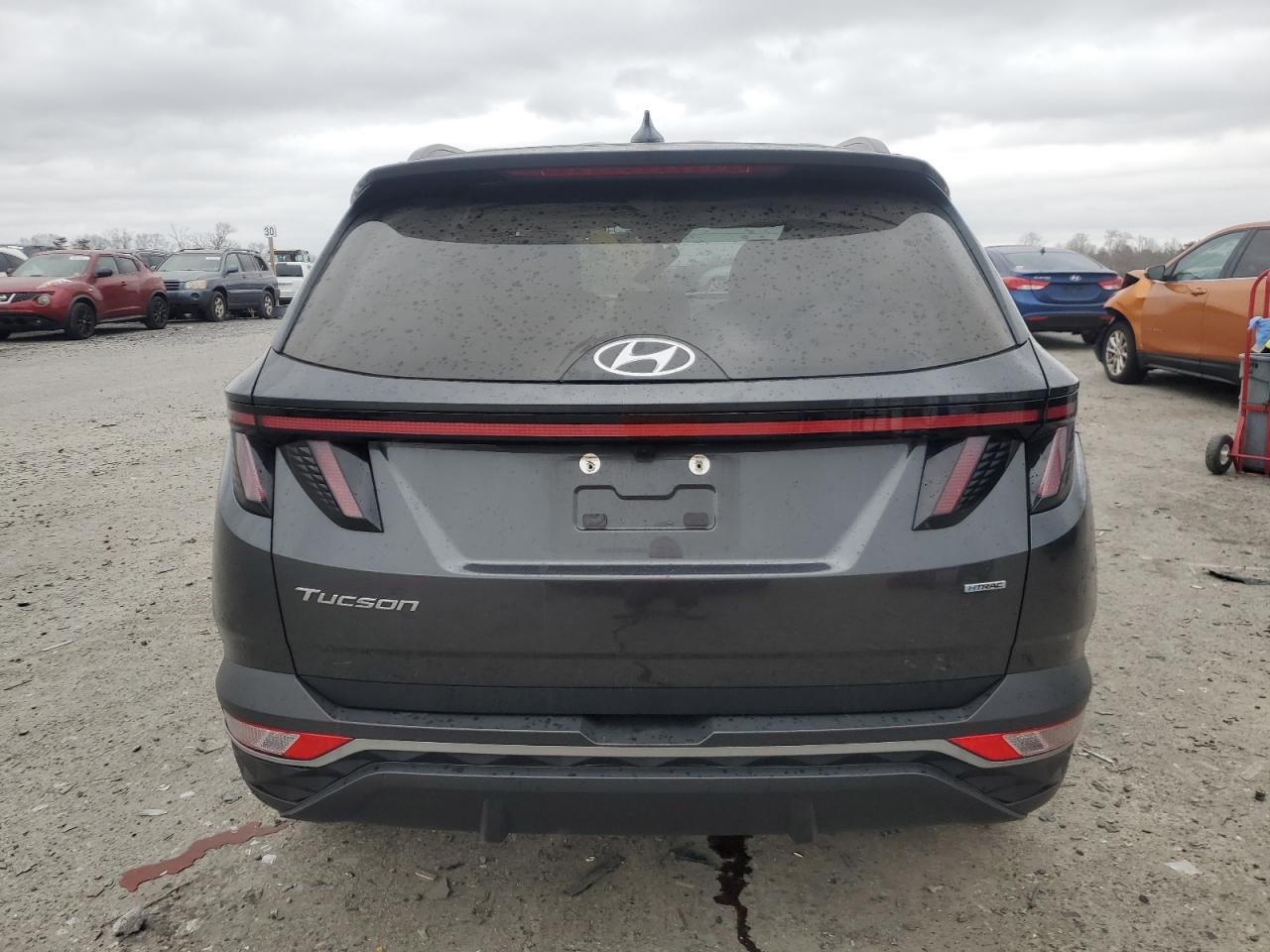 2023 Hyundai Tucson - Image 6