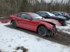 2003 FORD MUSTANG  for sale at Copart ON - COOKSTOWN