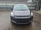 2016 Ford Escape Se за продажба в Ellwood City, PA - Side