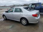 2009 Toyota Corolla Base de vânzare în Louisville, KY - Hail