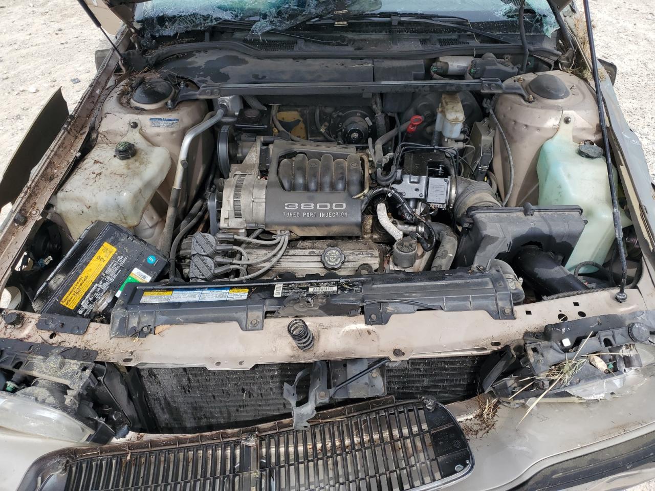 1995 Buick Lesabre Custom VIN: 1G4HP52L6SH479897 Lot: 50886805