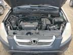 2002 Honda Cr-V Ex на продаже в Brighton, CO - Hail