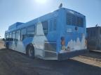 2009 El Dorado Axess for Sale in Brighton, CO - Rear End
