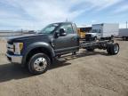 2017 Ford F550 Super Duty for Sale in Brighton, CO - Rear End