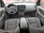 2002 Ford Escape Xlt en Venta en Louisville, KY - Hail