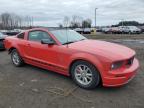 East Granby, CT에서 판매 중인 2007 Ford Mustang  - Rear End
