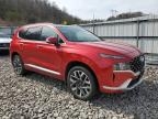 2023 Hyundai Santa Fe Calligraphy продається в Hurricane, WV - Water/Flood