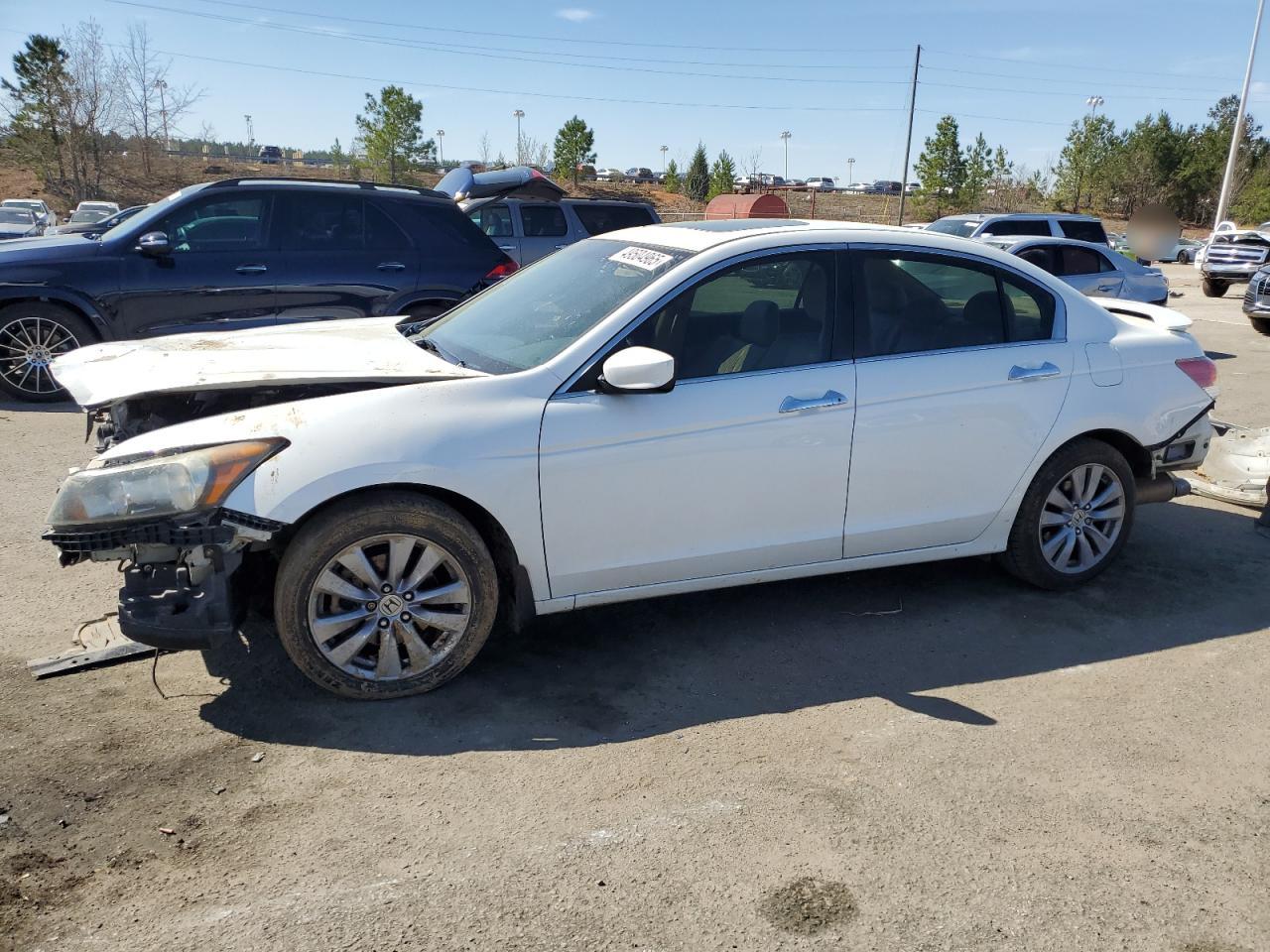 2011 Honda Accord Exl zu verkaufen in Gaston, SC - Front End
