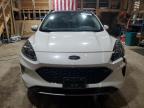 2021 Ford Escape Titanium for Sale in Rapid City, SD - Side