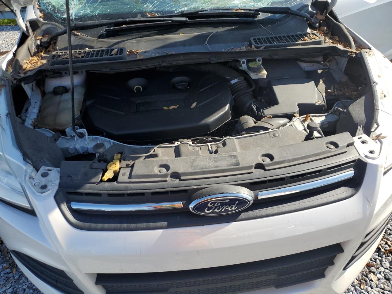 2015 Ford Escape - Image 12