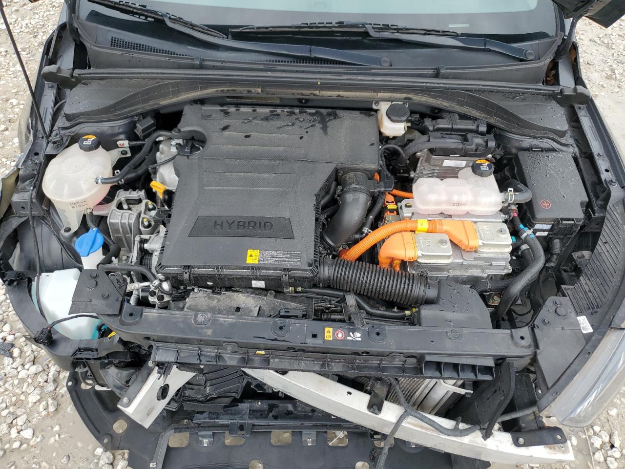 2021 Hyundai Ioniq Sel VIN: KMHC85LCXMU244953 Lot: 47703015