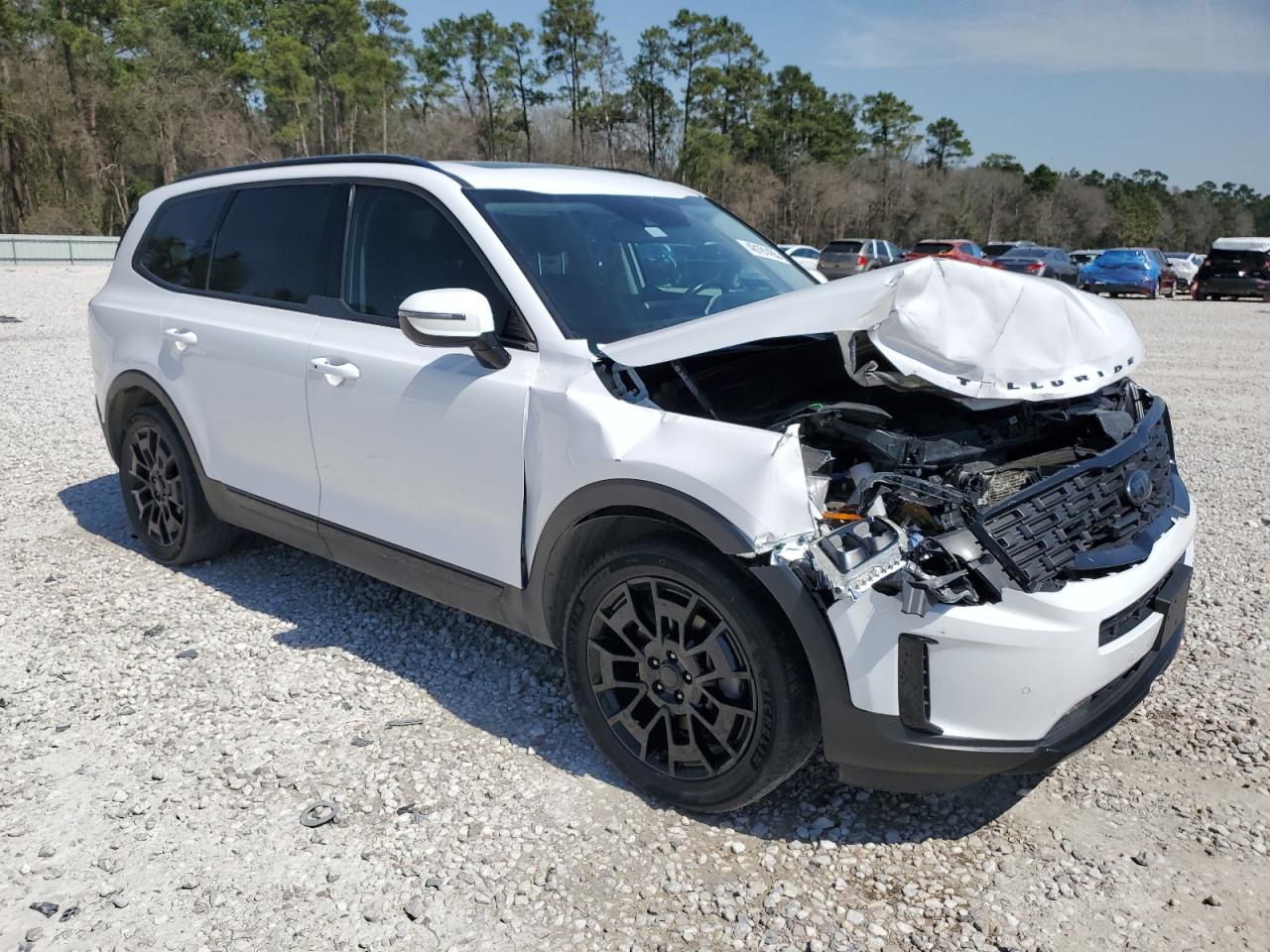 2021 Kia Telluride - Image 4