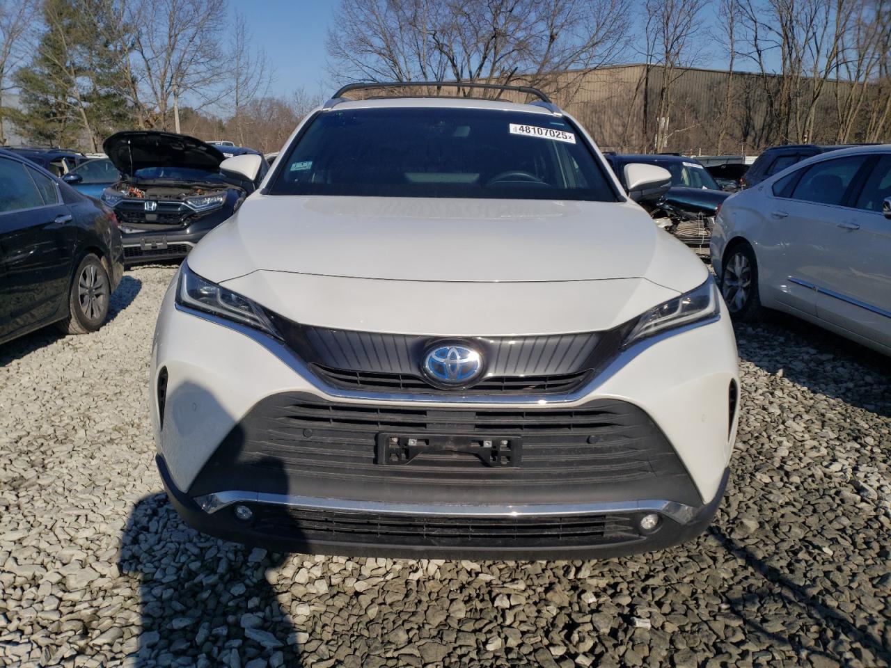 2023 Toyota Venza - Image 5