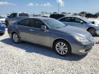 2012 Lexus Es 350 продається в Taylor, TX - Hail