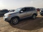 2011 Kia Sorento Ex for Sale in Amarillo, TX - Rear End