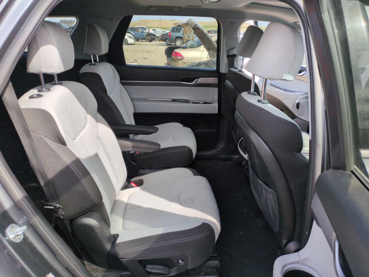 2020 Hyundai Palisade Sel VIN: KM8R2DHE2LU102174 Lot: 51379305