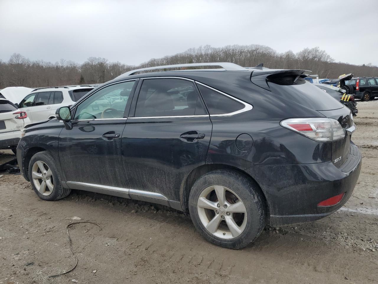 2010 Lexus RX - Image 2