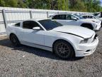 2014 Ford Mustang  for Sale in Riverview, FL - Front End