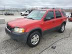 2002 Ford Escape Xlt en Venta en Louisville, KY - Hail