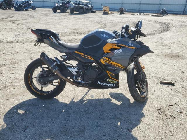  KAWASAKI ALL OTHER 2018 Два тона