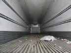 2022 Great Dane Refrigerated Van Trailer for Sale in Colton, CA - Side