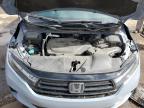 2023 Honda Odyssey Sport-L for Sale in Woodhaven, MI - Rear End