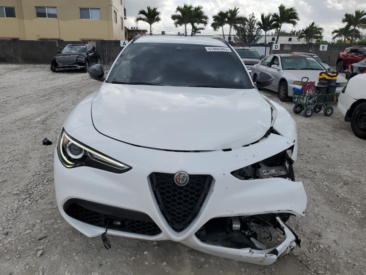 2020 Alfa Romeo Stelvio - Image 5